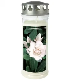 Bougie Funeraire Gardenia, 21,5 Cm